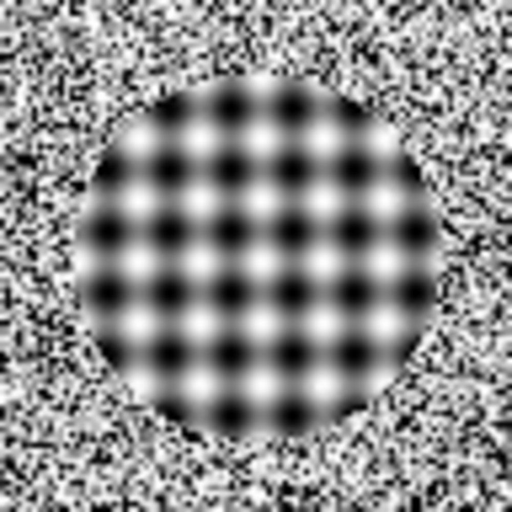 Meet your Posher, Bradley